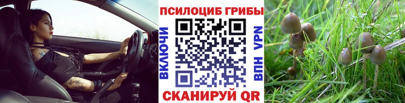 Галлюциногенные грибы Cubensis  купить наркотики сайты  Краснокамск 